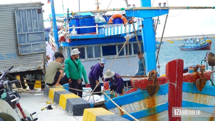 Cũng theo Phó Chủ tịch Thường trực UBND tỉnh Lâm Đồng - ông Lê Trọng Yên, trong thời gian tới tỉnh sẽ đẩy mạnh hiện đại hóa đội tàu cá khai thác xa bờ gắn với củng cố, đổi mới các tổ, đội, hợp tác xã, nghiệp đoàn nghề cá; tổ chức sản xuất thủy sản khai thác theo chuỗi giá trị, chú trọng tăng về giá trị sản xuất; ứng dụng khoa học và công nghệ, chuyển đổi số trong quản lý, hoạt động khai thác, bảo quản sản phẩm khai thác và hiện đại hóa công tác quản lý nghề cá trên biển.