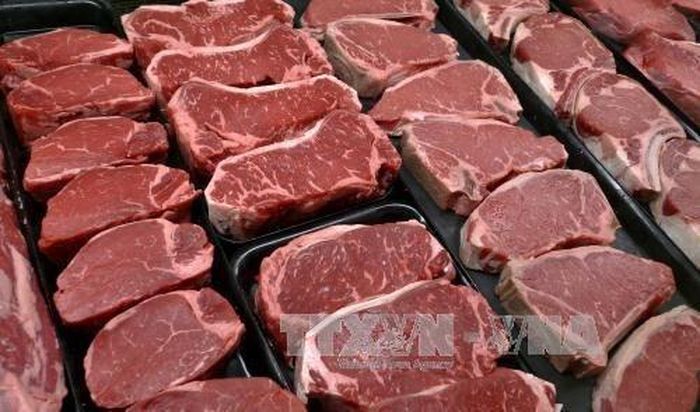 Lệnh cấm nhập khẩu bò sống của Maroc gây lo ngại cho nông dân Tây Ban Nha. Ảnh minh họa: TTXVN