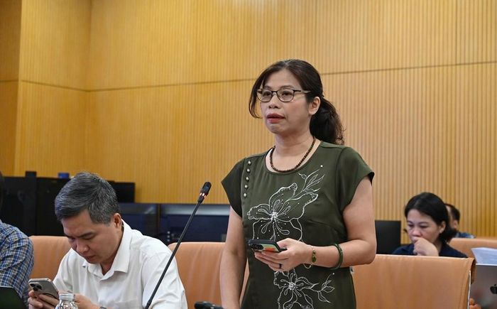 Phó Cục trưởng Cục Khí tượng Thủy văn Đặng Thanh Mai thông tin tại họp báo. Ảnh: Bích Hồng/Bnews/vnanet.vn