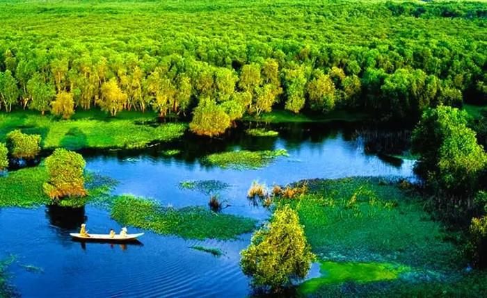 Vườn quốc gia Tràm Chim.