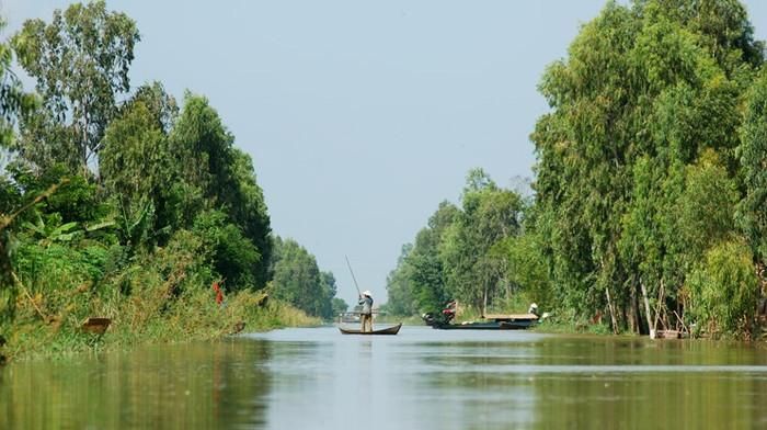 Cánh sông nước Đồng Tháp.
