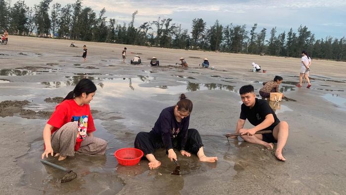 Những người trẻ cũng ra biển cào ngao để có bữa canh ngọt lịm