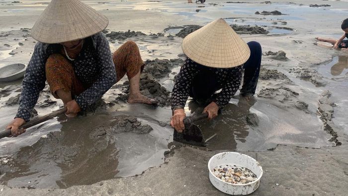 Đào cả tiếng đồng hồ mới được vài lạng ngao