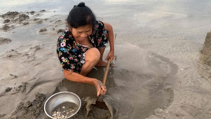 Bà Phạm Thị Thương cào ngao để kiếm thêm thu nhập