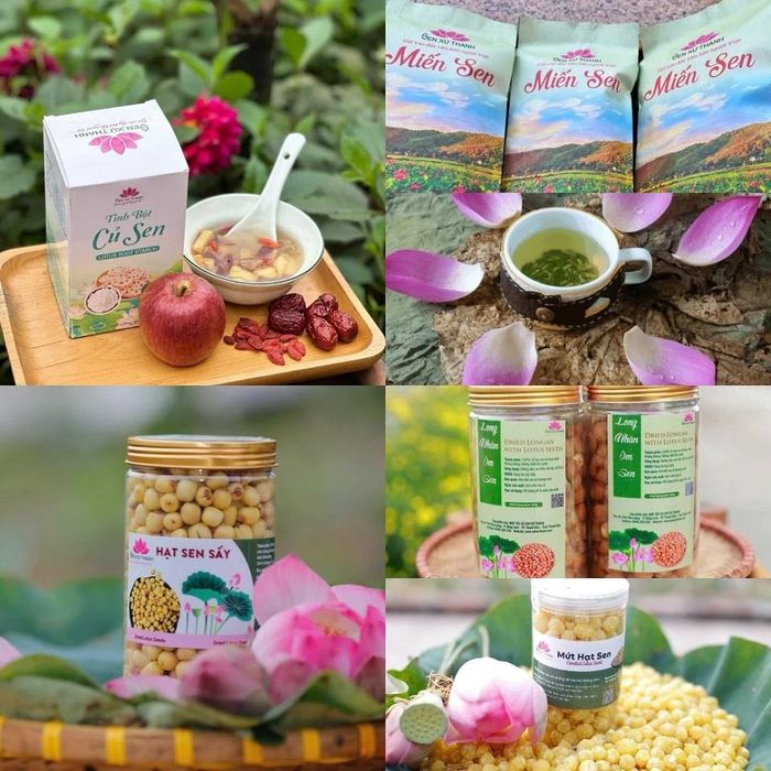 Những sản phẩm từ cây sen đã được chị Lê Thị Thu phát triển.