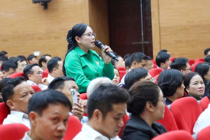 Bà Nguyễn Thị Hồng Lĩnh phát biểu tại hội nghị.