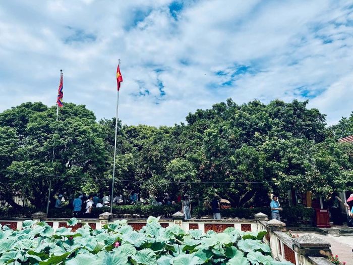 Du khách sẽ được tự tay hái những chùm quả tươi ngon nhất và thưởng thức vị ngọt lịm tan ngay đầu lưỡi giữa không gian mát lành của vườn tược.