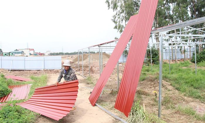  Dự kiến việc lắp mái che sẽ hoàn thành trong ngày 18/6. 