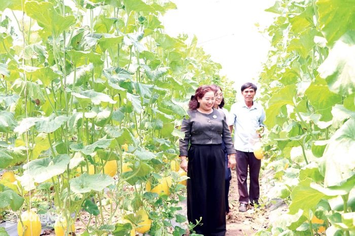 Phó Chủ tịch phụ trách Liên minh Hợp tác xã thành phố Đồng Nai Nguyễn Thanh Hiền tham quan tại hợp tác xã hoạt động hiệu quả trên địa bàn.