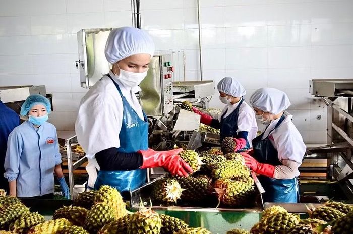 Với lợi thế về vị trí địa lý, nguồn hàng, hạ tầng kết nối và định hướng phát triển bài bản, Gia Lai hoàn toàn có cơ sở để trở thành trung tâm logistics chiến lược của Tây Nguyên. Ảnh: Ngọc Sang 