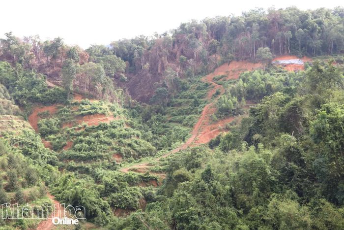 Dự án Đường giao thông liên vùng Khánh Sơn - Khánh Vĩnh có 30km đi qua rừng tự nhiên và rừng đặc dụng.