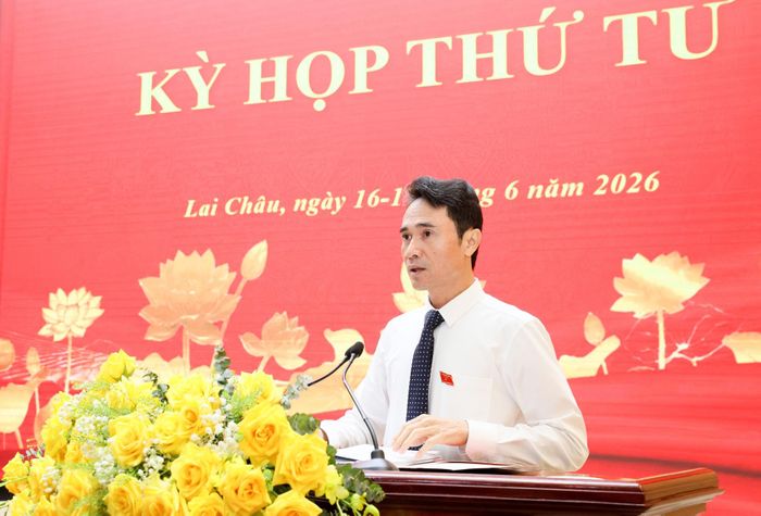 Đồng chí Hà Trọng Hải - Phó Chủ tịch UBND tỉnh trả lời chất vấn.