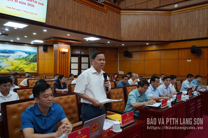 Lãnh đạo Ban Kinh tế - Ngân sách HĐND tỉnh nêu câu hỏi chất vấn