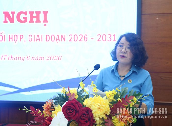 Lãnh đạo LĐLĐ tỉnh phát biểu tại hội nghị