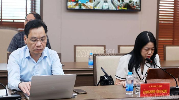 Các đại biểu dự hội nghị tại điểm cầu tỉnh Lào Cai.