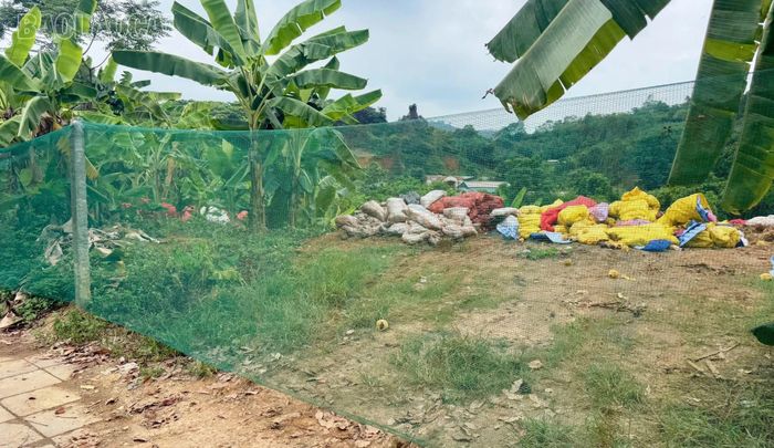 Việc tồn tại những đống rác lớn ven đường không chỉ gây mất mỹ quan, mà còn tạo ấn tượng không đẹp đối với người dân và du khách khi đến địa phương.