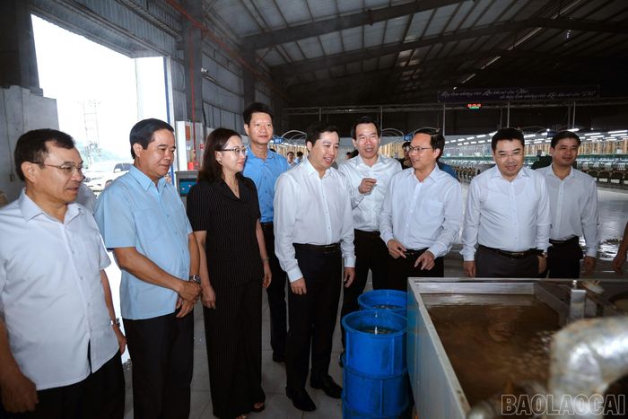 Các đồng chí lãnh đạo tỉnh kiểm tra và thăm Nhà máy Dâu tằm tơ Yên Bái.