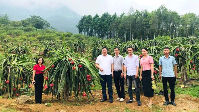 Phường Trung Tâm tập trung rà soát, hoàn thiện các hạng mục chuẩn bị cho Lễ hội "Hoa trái bốn mùa - Trải nghiệm và kết nối" năm 2026.