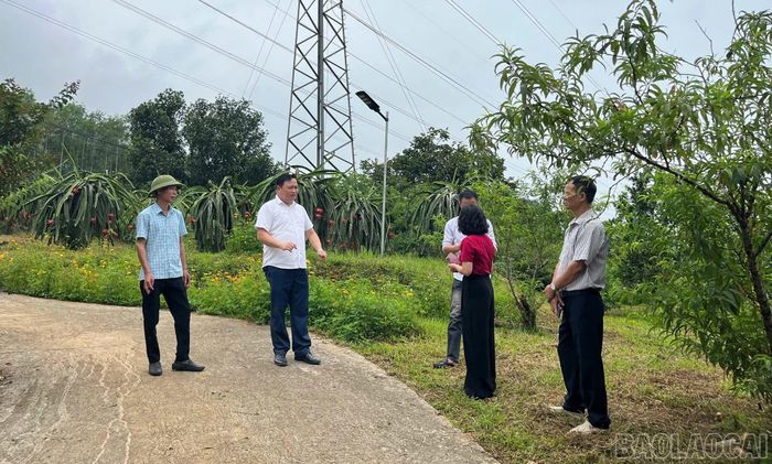Lãnh đạo phường trao đổi, định hướng các chủ nhà vườn hoàn thiện không gian trưng bày, tăng hiệu quả quảng bá sản phẩm địa phương.