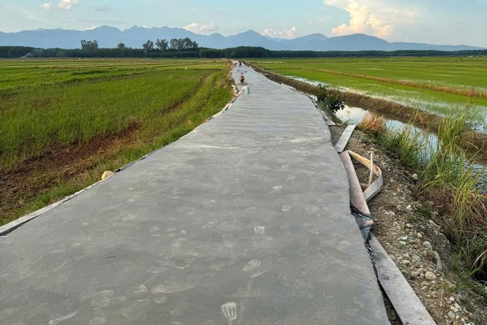 Công trình Đường tuyến nhánh Nam sông La Ngà đang triển khai thi công đã đổ bê tông xong khoảng 800 m/ 1.094 m