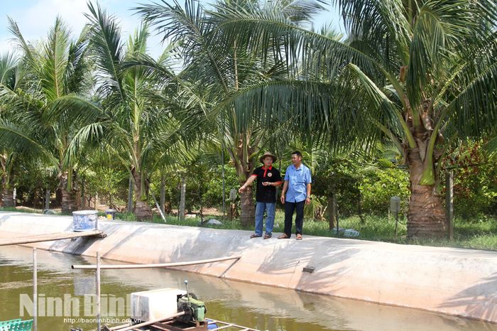 Mô hình kinh tế tuần hoàn cho hiệu quả kinh tế cao của anh Đinh Văn Thuận.
