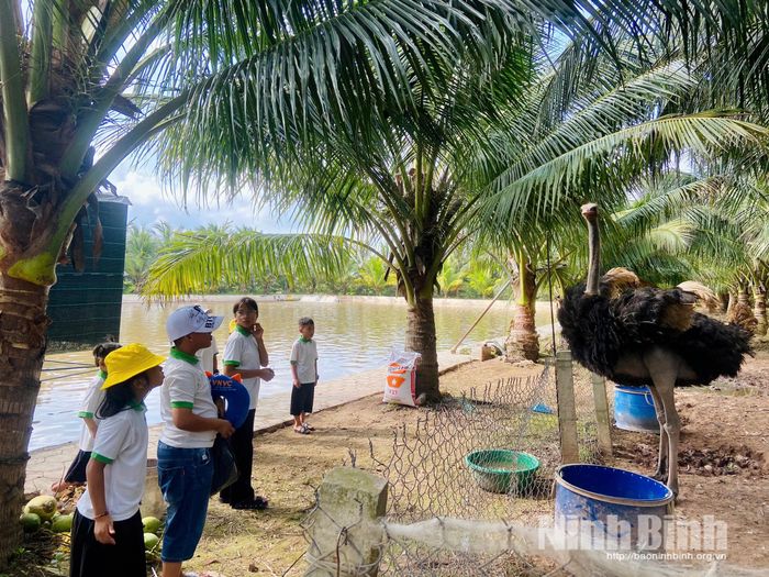 Các em học sinh tham quan tại trang trại xanh của anh Đinh Văn Thuận.
