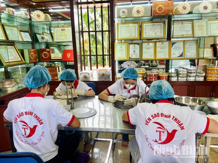 Người lao động chế biến, làm sạch nguyên liệu yến sào.