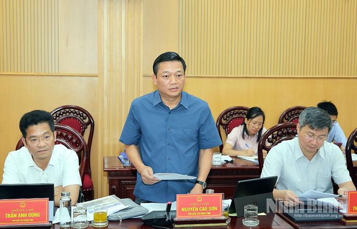 Đồng chí Nguyễn Cao Sơn, Tỉnh ủy viên, Phó Chủ tịch UBND tỉnh phát biểu tại hội nghị.