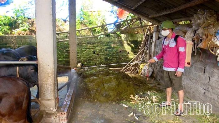 Các hộ chăn nuôi ở xã Bình Phú chủ động khử trùng tiêu độc khu vực chăn nuôi.