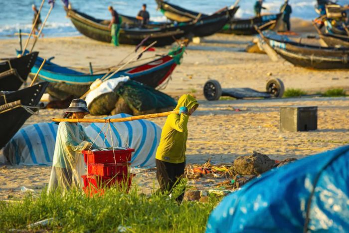 Trĩu nặng ân tình của biển