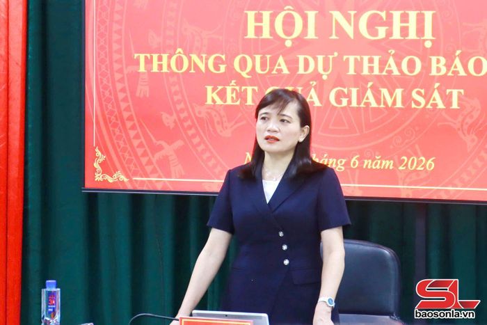Đồng chí Lường Thị Vân Anh phát biểu tại cuộc làm việc. Ảnh: Tỉnh đoàn cung cấp