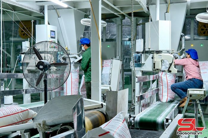 Sản xuất tinh bột biến tính Nhà máy chế biến tinh bột biến tính BHL Sơn La.