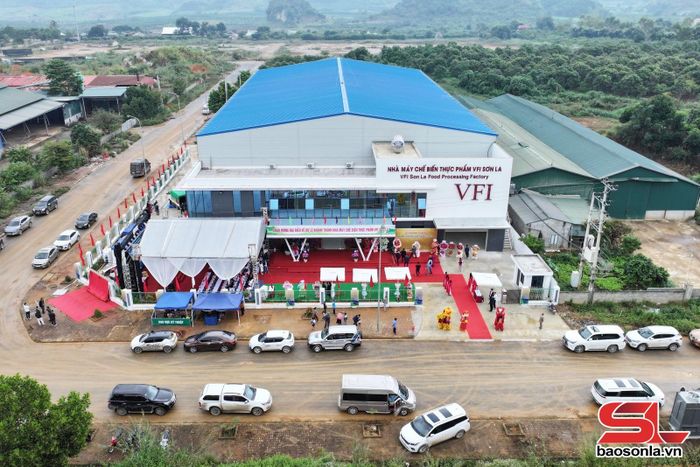 Nhà máy Chế biến thực phẩm VFI Sơn La.