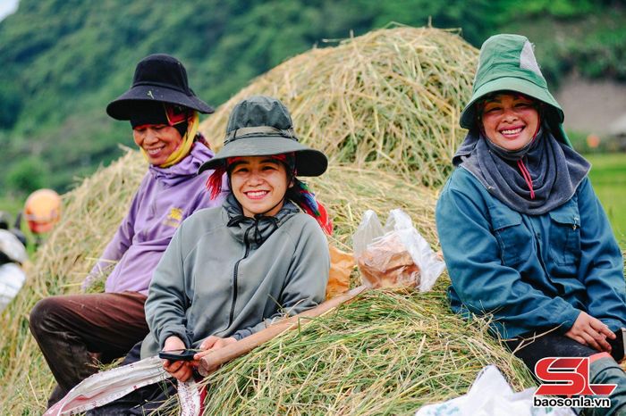 Nông dân phấn khởi sau khi hoàn thành việc thu hoạch lúa.