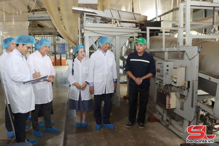 Đại sứ Đặc mệnh toàn quyền Nhật Bản tại Việt Nam tìm hiểu quy trình sản xuất, chế biến chè theo tiêu chuẩn Nhật Bản tại Nhà máy chè Satoen, xã Vân Hồ.
