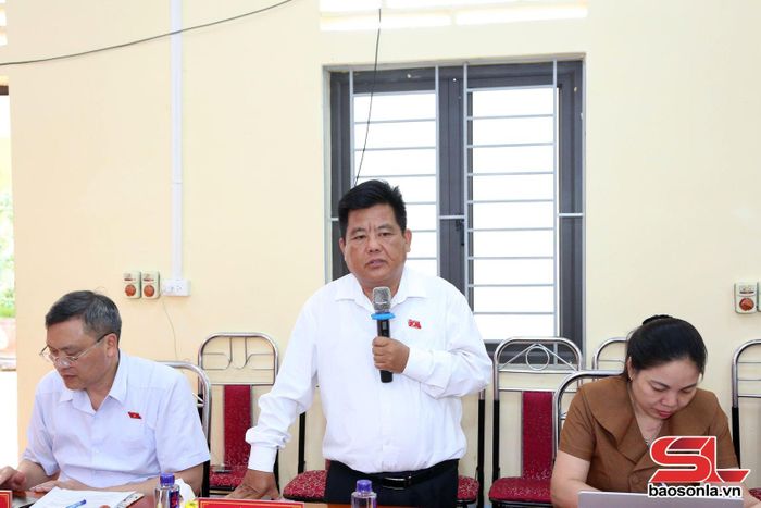 Thành viên đoàn giám sát phát biểu ý kiến tại cuộc khảo sát.