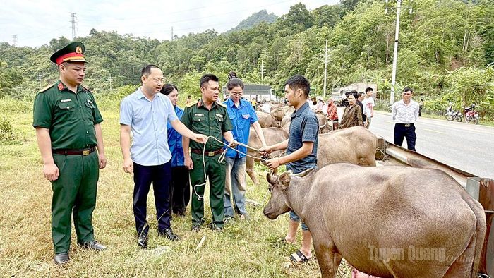 Lãnh đạo Đoàn Kinh tế - Quốc phòng 313 và xã Thanh Thủy bàn giao trâu cho hộ nghèo.