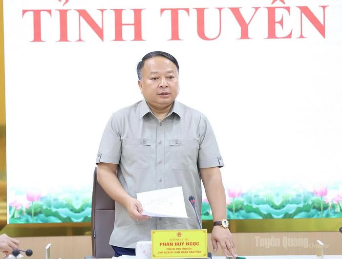 Đồng chí Phan Huy Ngọc phát biểu chỉ đạo tại cuộc họp.