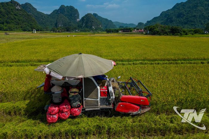 Theo ước tính, anh Nguyễn Văn Khương và ê kíp sẽ hoàn thành 150ha diện tích cánh đồng Phương Bá với tổng diện tích khoảng 150ha.
