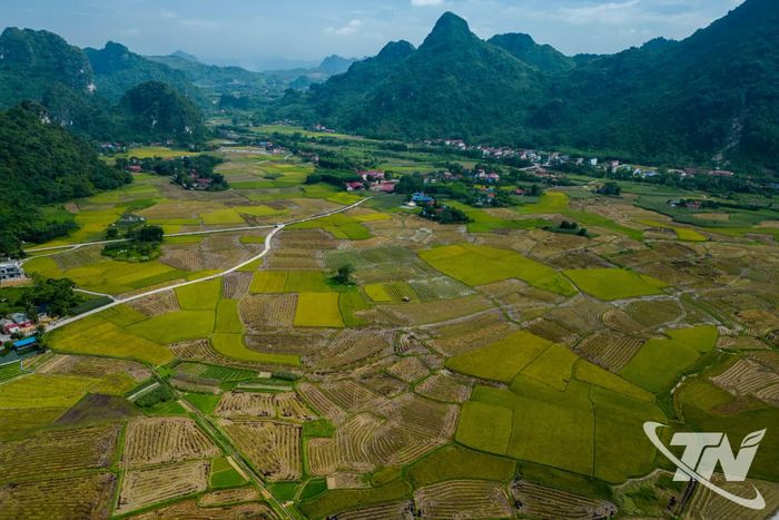 Cánh đồng Phương Bá nằm trên địa bàn các xóm: Phương Bá, Đồng Quán, Làng Chẽ, Thịnh Khánh với tổng diện tích khoảng 150ha.