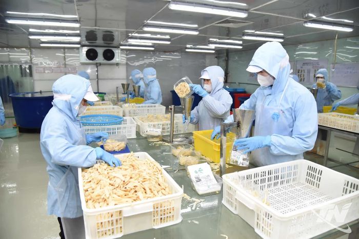 Hoạt động chế biến thực phẩm của Công ty TNHH Việt Nam Misaki tại Khu công nghiệp Thanh Bình, xã Thanh Thịnh.