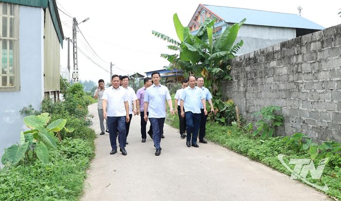 Đồng chí Chủ tịch UBND tỉnh kiểm tra thực địa Khu tái định cư Đồng Xe.