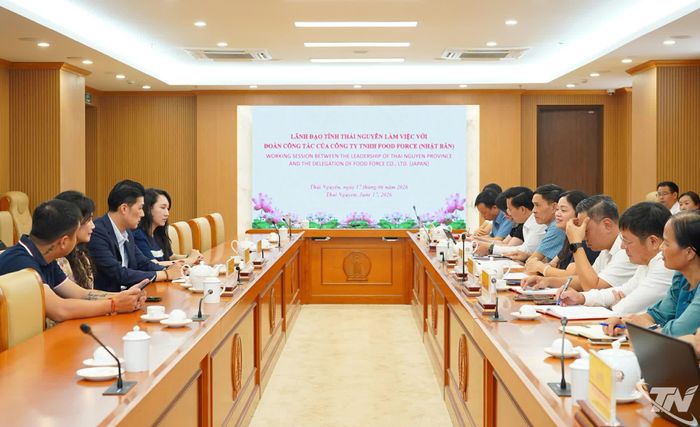 Quang cảnh buổi làm việc.