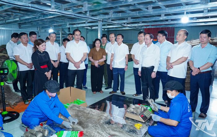 Đồng chí Bí thư Tỉnh ủy Trịnh Xuân Trường và Đoàn công tác thăm khu vực chế biến và đóng gói sản phẩm miến dong của Hợp tác xã Tài Hoan, xã Côn Minh.