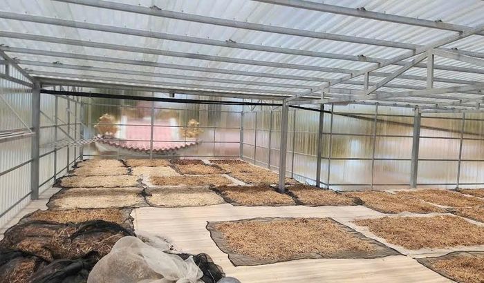 Khu vực phơi dược liệu tại Phòng Thuốc Nam Phước Thiện trong khuôn viên Hưng Hòa Tự, phục vụ công tác sơ chế và bảo quản dược liệu. Ảnh: Binh Ton - That.
