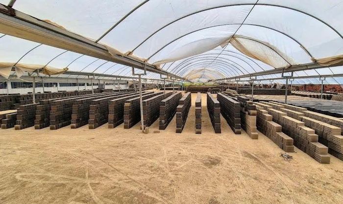 Gạch mộc được phơi tự nhiên trước khi đưa vào lò nung theo quy trình sản xuất thủ công truyền thống. Ảnh: Đức Linh.
