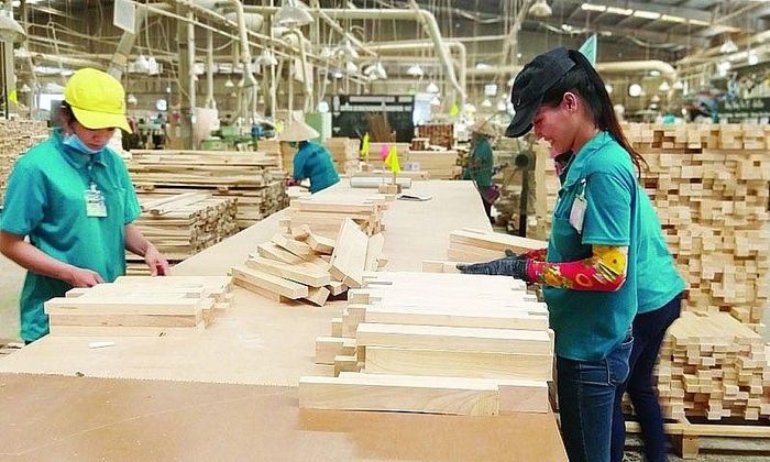 Việt Nam được xem là một mắt xích quan trọng trong chuỗi cung ứng gỗ toàn cầu. Ảnh: Hải Vân