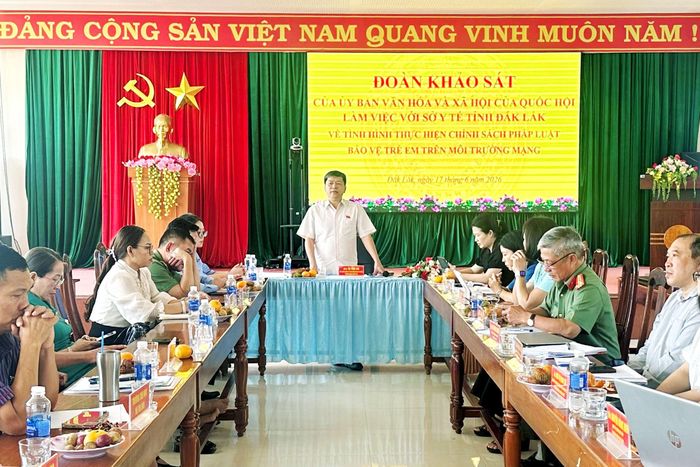 Phó Chủ nhiệm Ủy ban Văn hóa và Xã hội Tạ Văn Hạ phát biểu kết luận cuộc làm việc