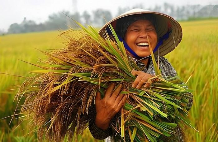 Chuỗi liên kết khép kín giải bài toán về bản quyền giống cây trồng.
