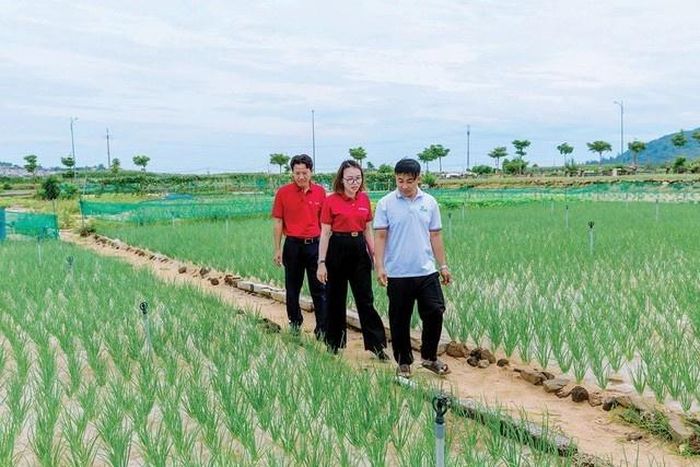  Anh Nguyễn Văn Nhật, Giám đốc Công ty TNHH Thương mại và Dịch vụ Phú Sinh (áo trắng) cùng nhân viên tín dụng Agribank đi thăm các ruộng hành đang vào vụ thu hoạch 